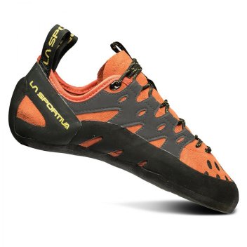 Best Rock Climbing Shoes