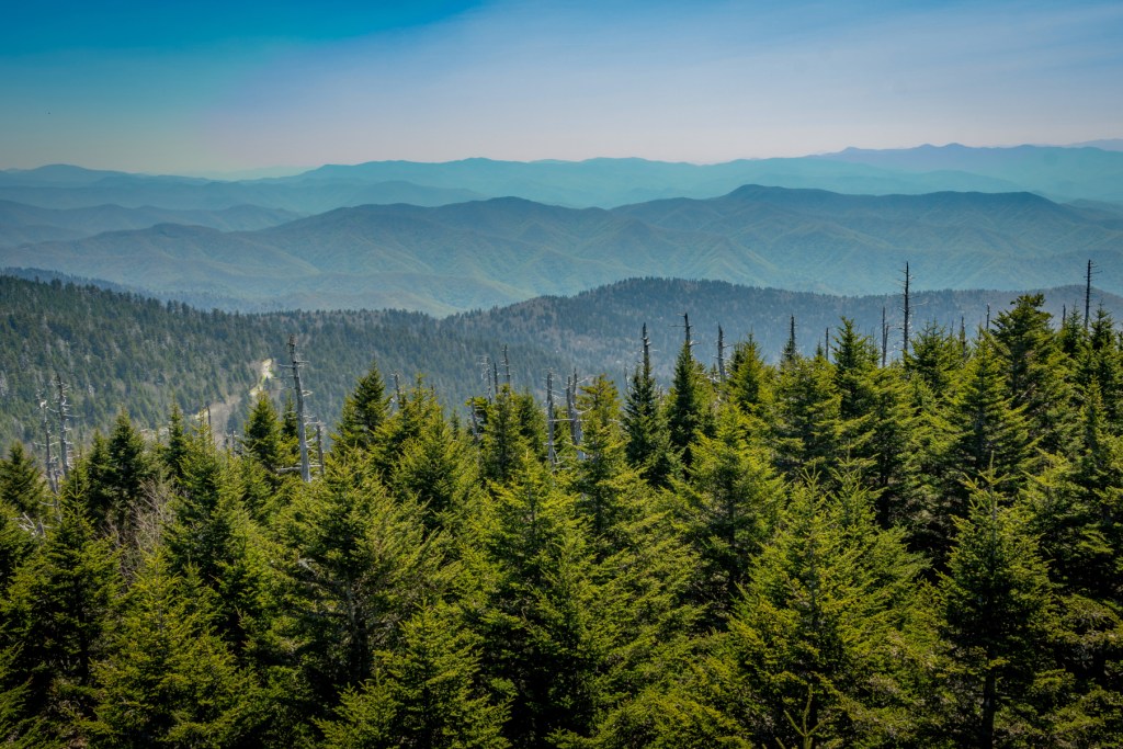 Clingmans Dome, The Highest Point In The Great Smokey Mountains National&nbsp;Park