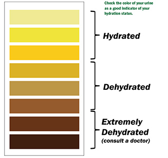 Hydration Chart For Urine