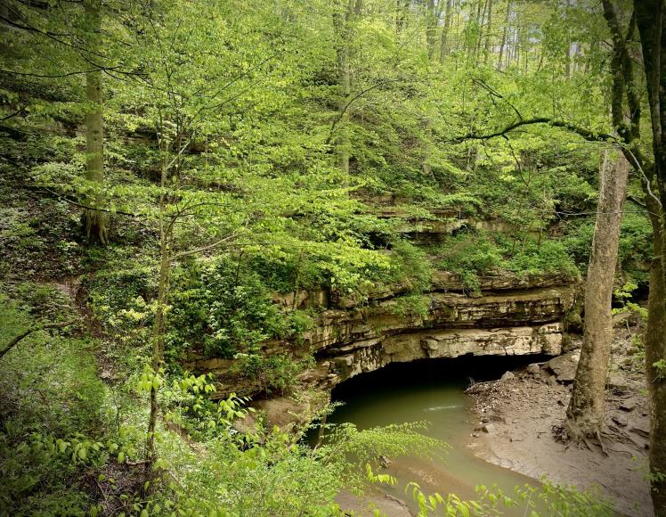 The Ultimate Guide to Exploring National Parks in the Southeast: Must-See&nbsp;Destinations