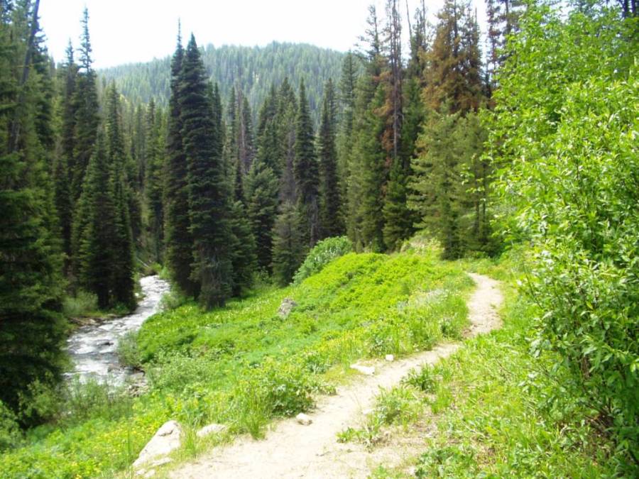 From Beginner to Pro: How to Choose the Best Hiking Trails for Your Skill&nbsp;Level