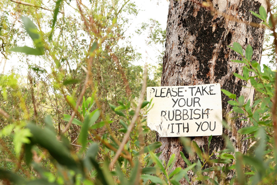 The Eco-Conscious Camper's Guide: Mastering Leave No Trace Practices for Sustainable Tent Camping