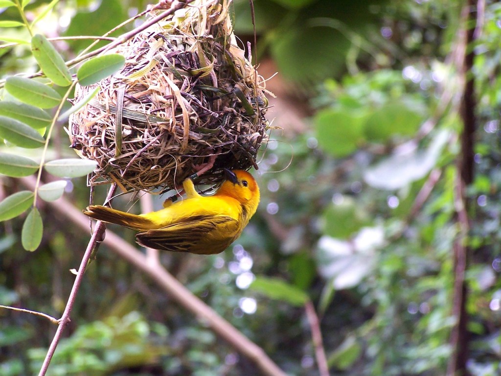 Exploring North Carolina: The Best NC Campgrounds for Tent&nbsp;Camping